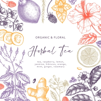 Hand sketched herbal tea ingredients design. Vintage herbs, leaves, flowers, fruits hand drawings background. Perfect for recipe, menu, label, packaging. Herbal tea template. Botanical illustration.